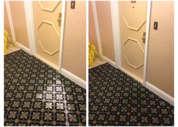 406431167_843628434436217_1118594797529796557_n