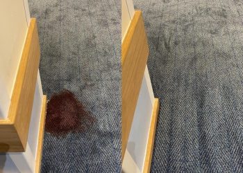 428602174_10160910793149193_7927369726535610555_n